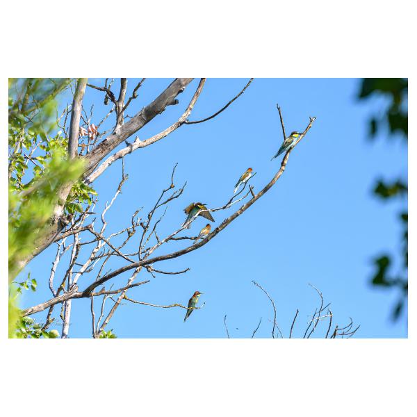 PHOTO84, CLUB, 84 , LUBERON